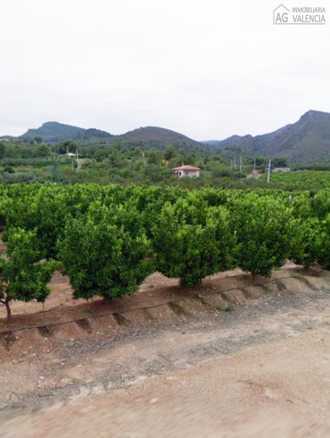 Venta de terreno en Torres Torres