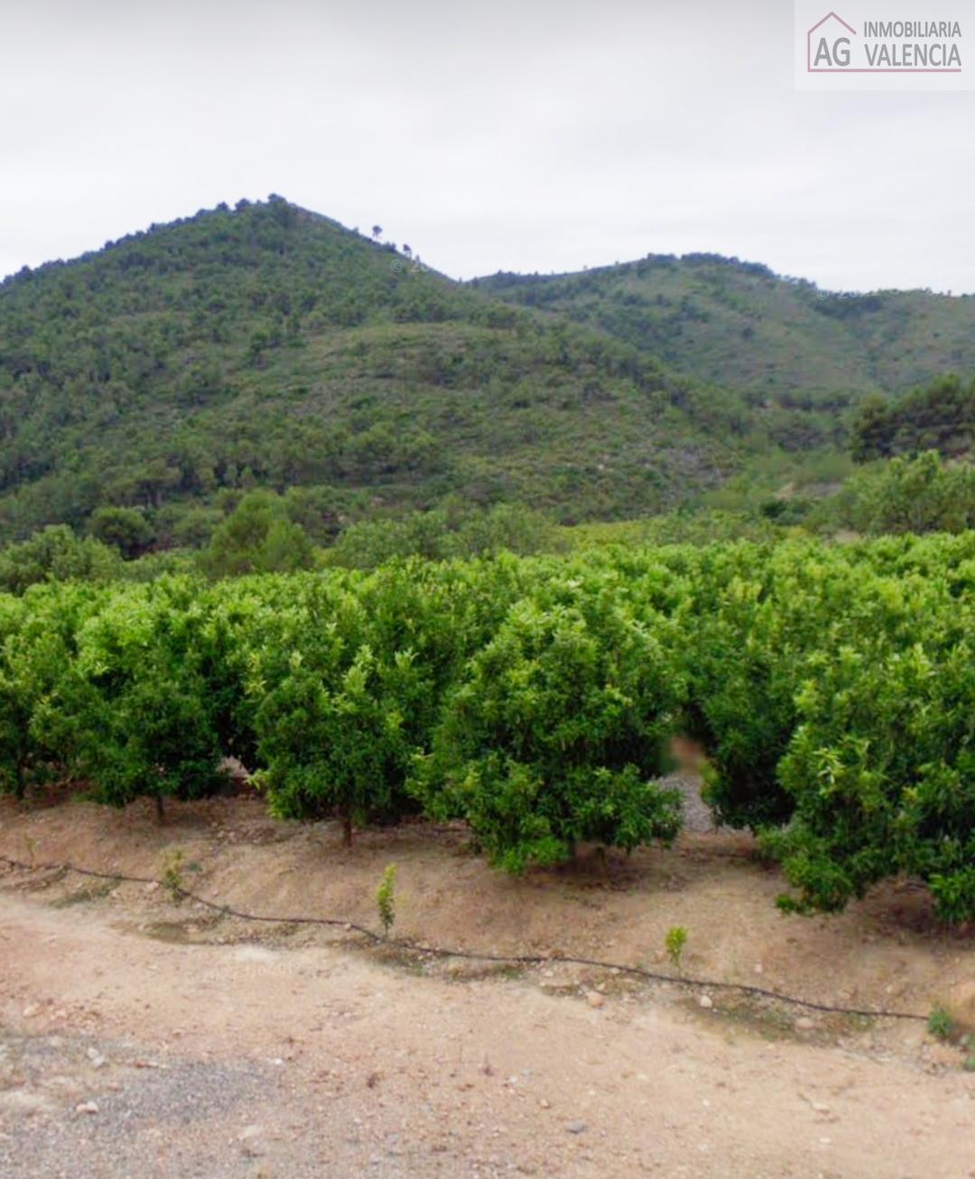 Venta de terreno en Torres Torres