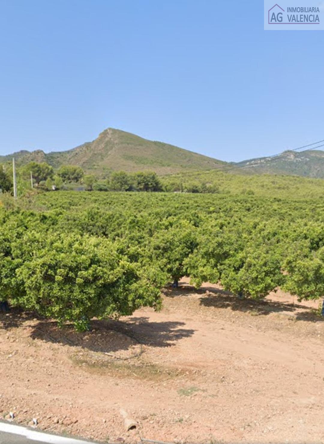 Venta de terreno en Torres Torres