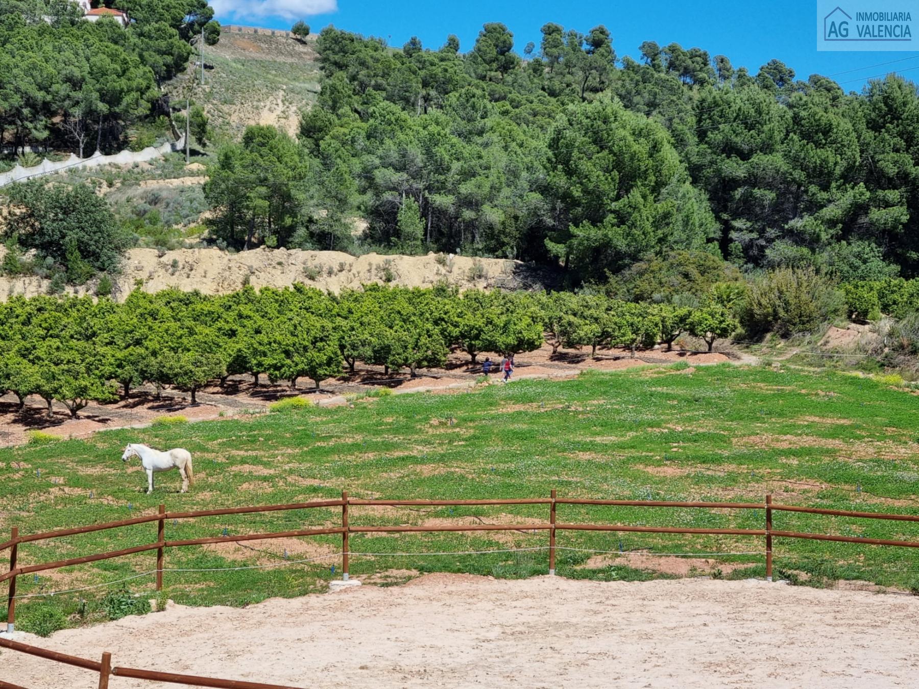 Venta de terreno en Torres Torres