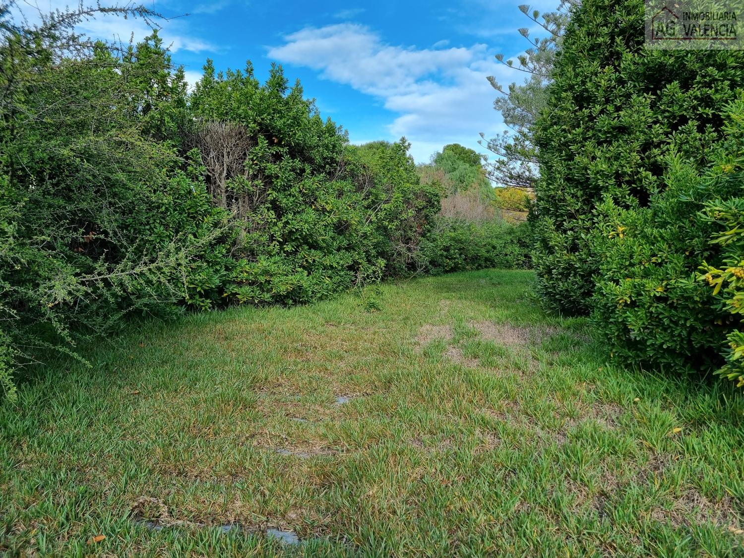 Ground