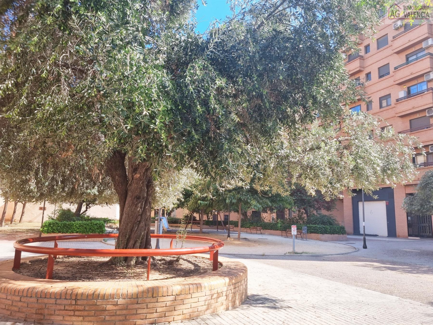 Surroundings