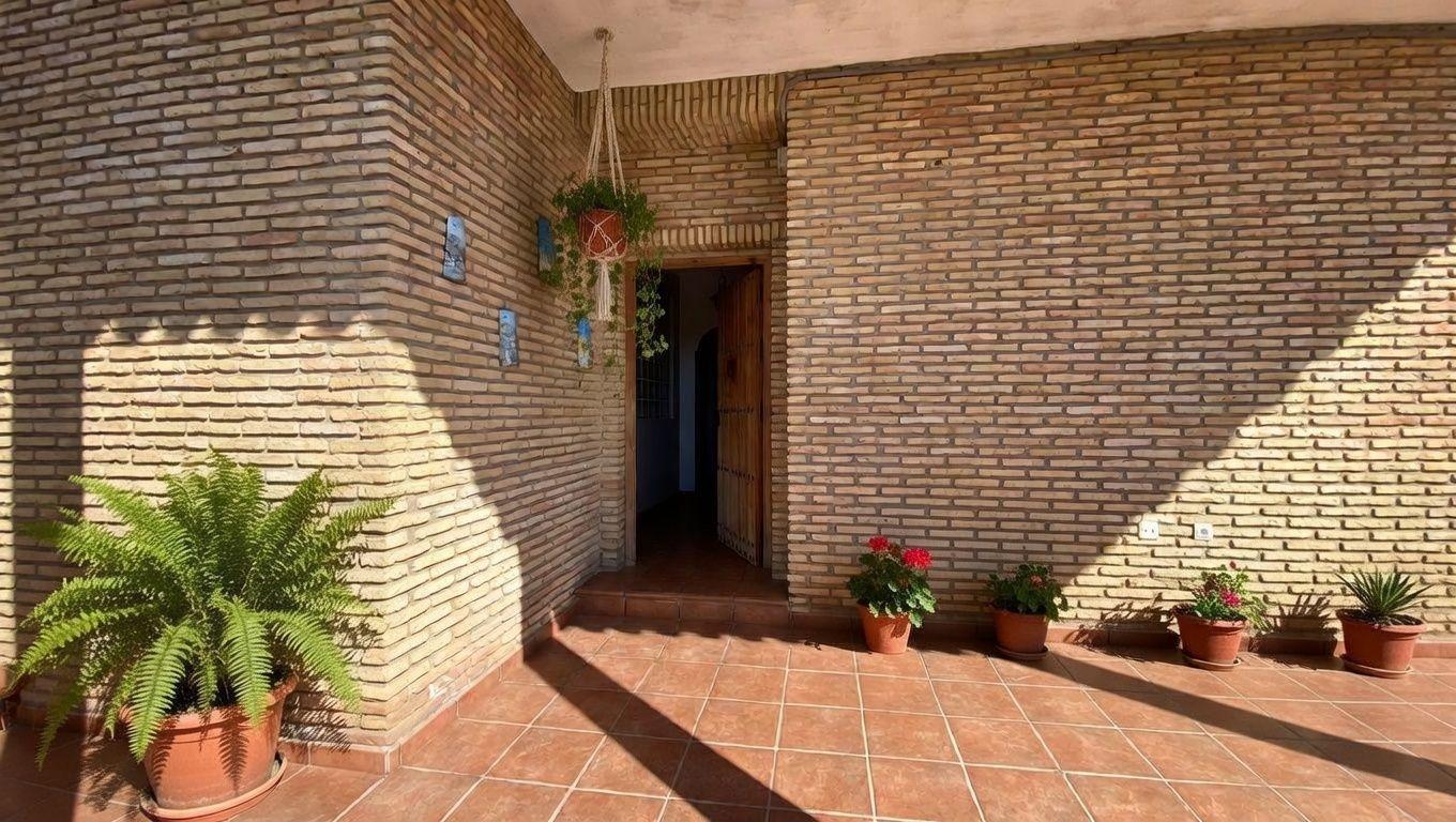 Entrada/Salida