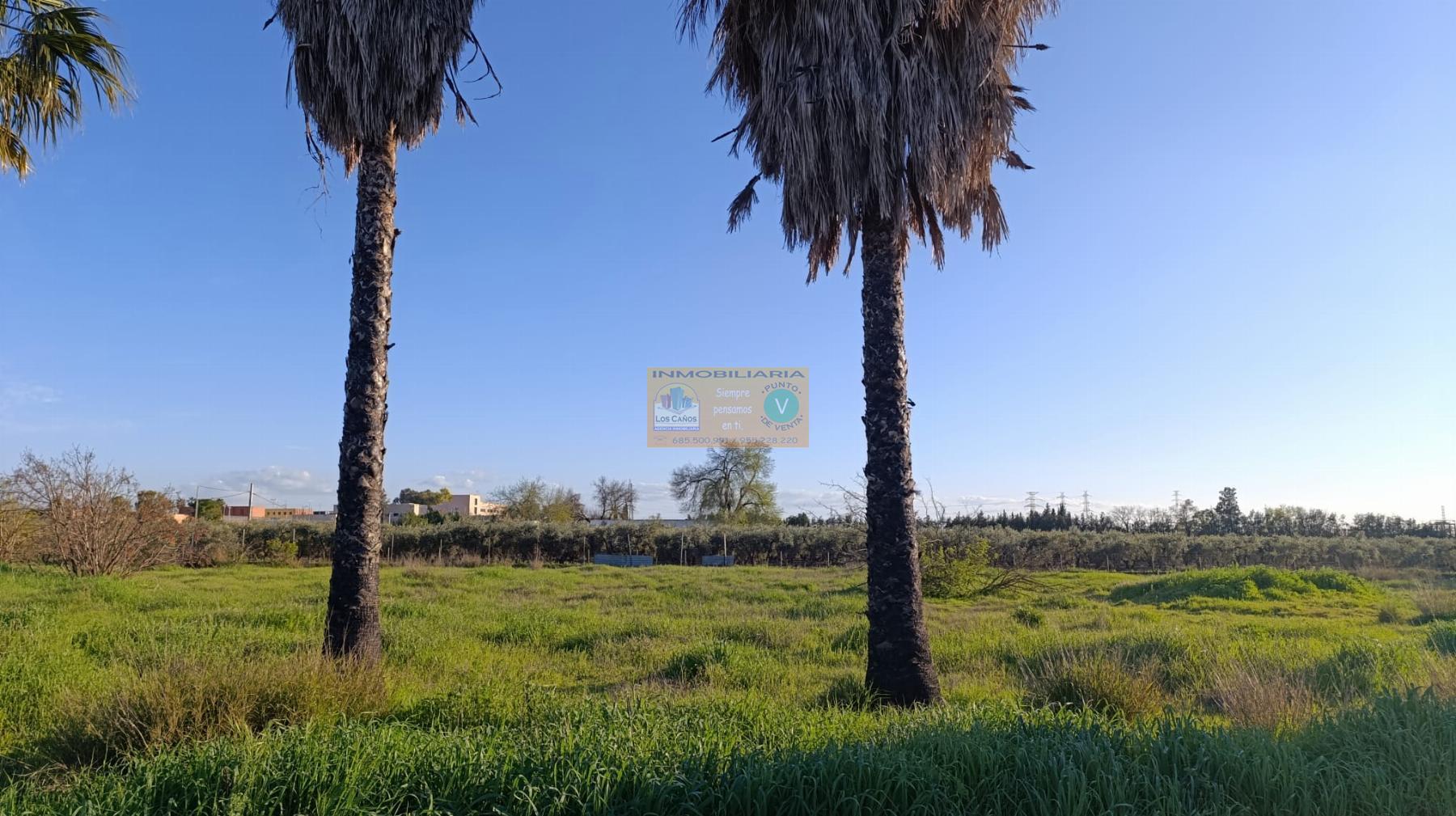 Venta de chalet en Sevilla