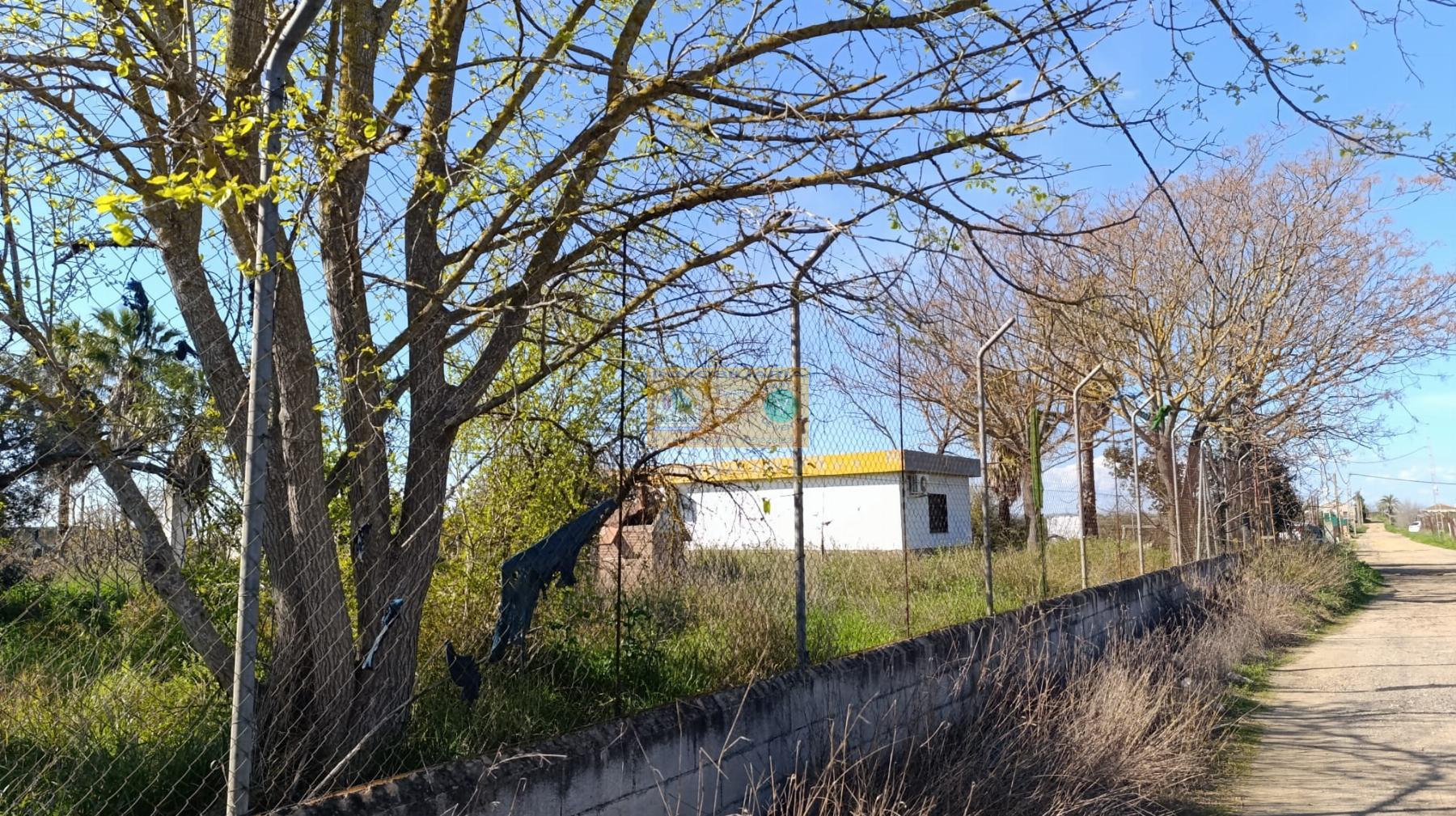 Venta de chalet en Sevilla