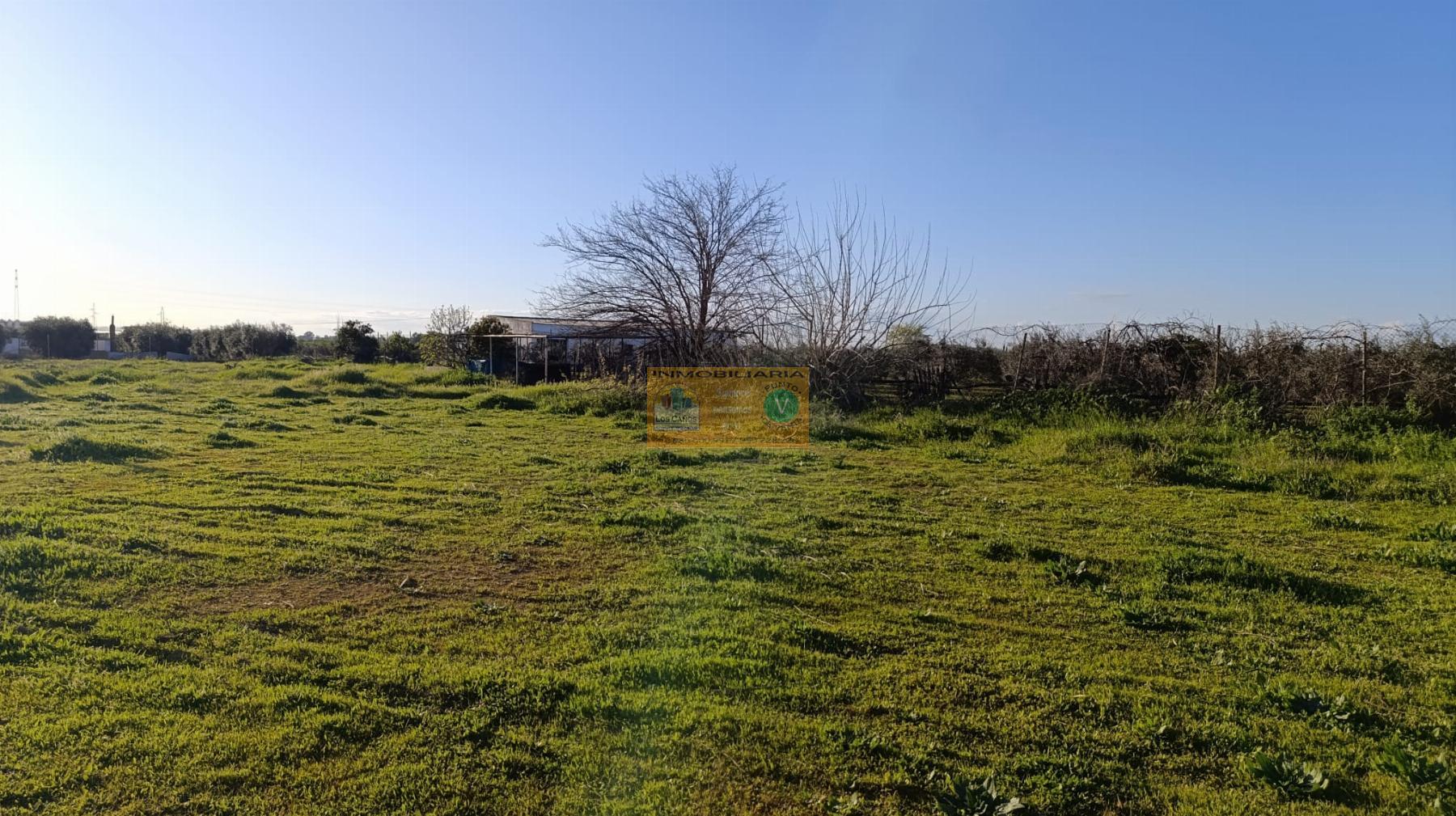 Venta de chalet en Sevilla