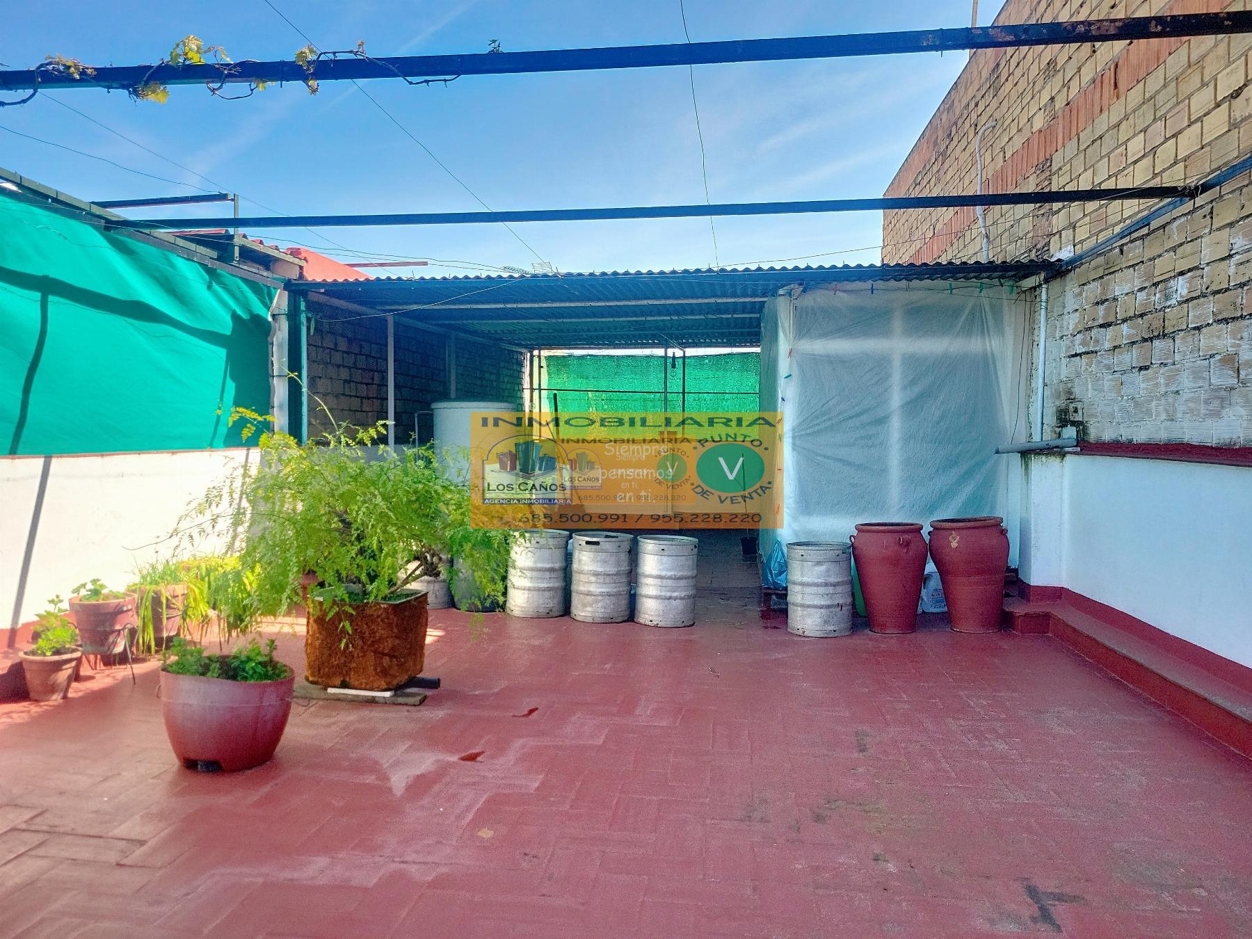 Terraza