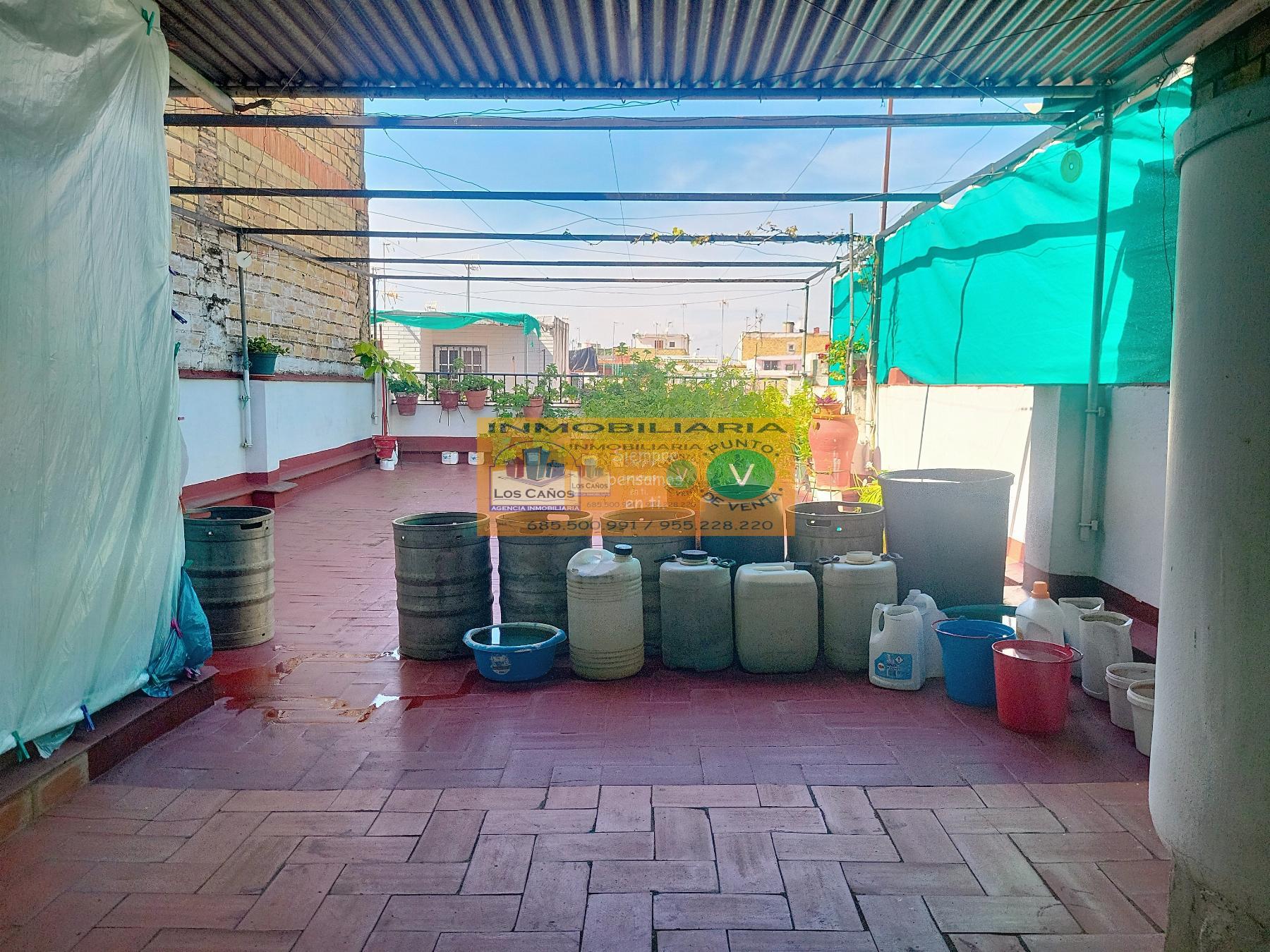 Terraza