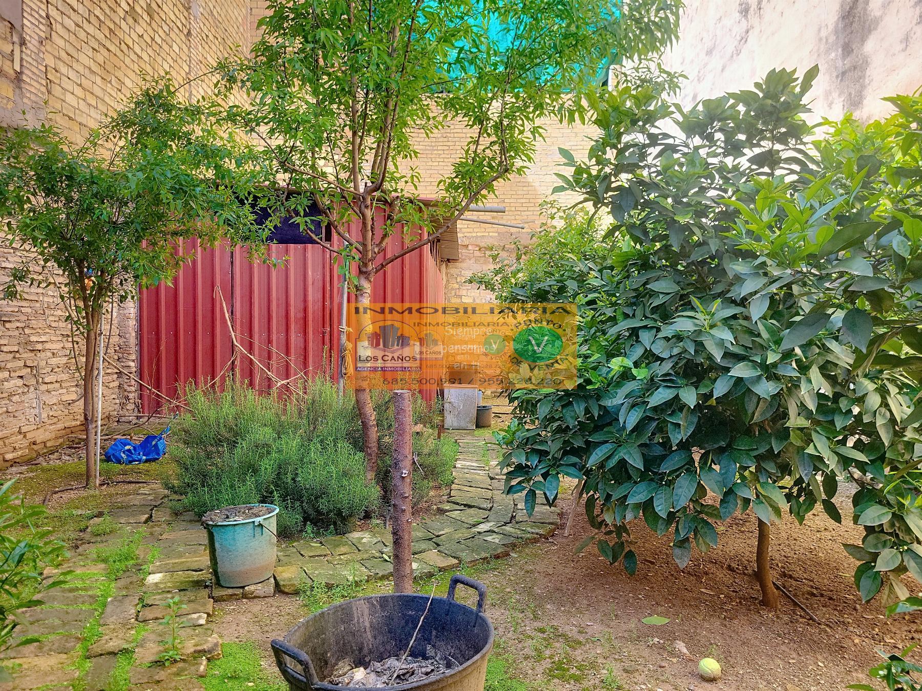 For sale of land in Sevilla