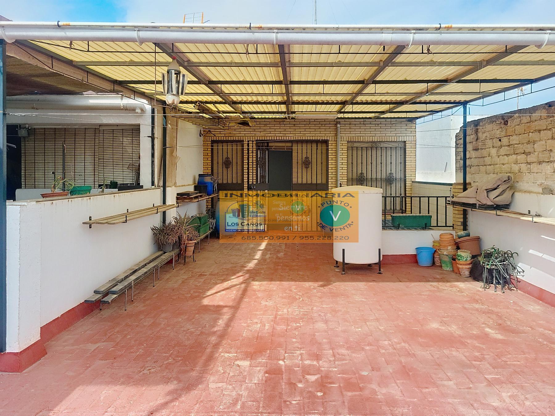 Terraza