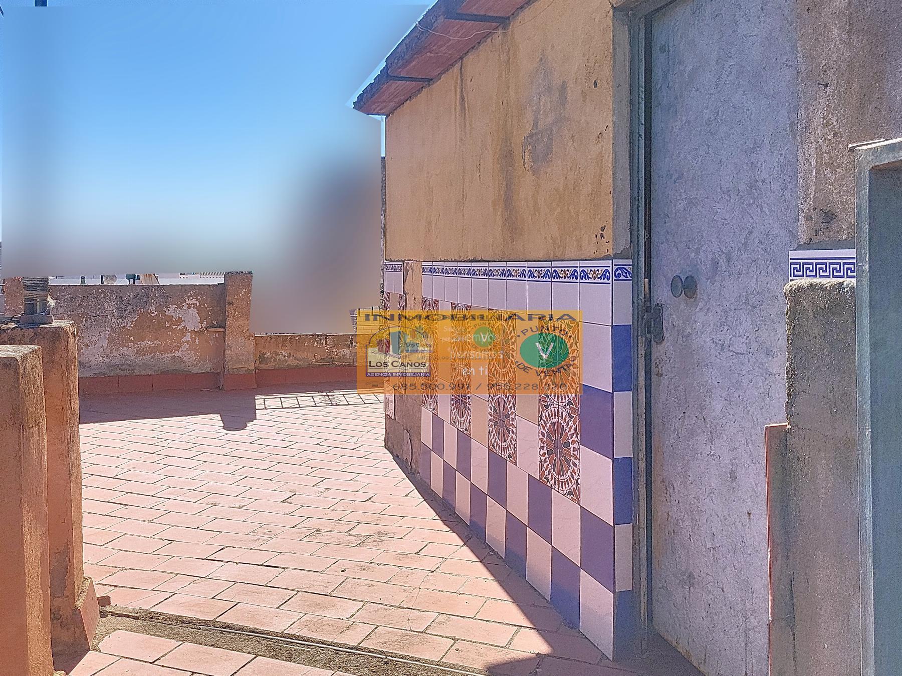 Terraza