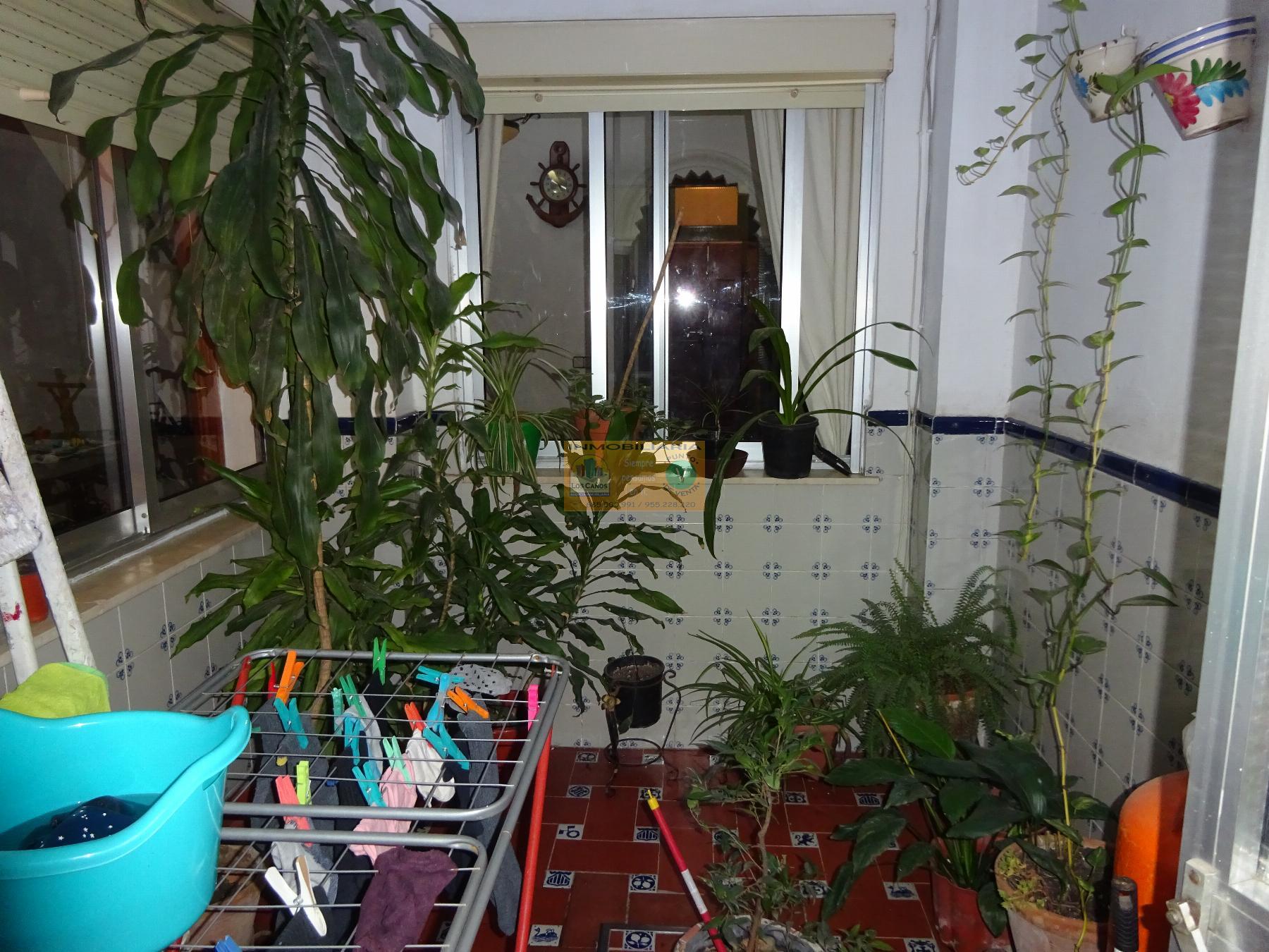 For sale of house in Sevilla