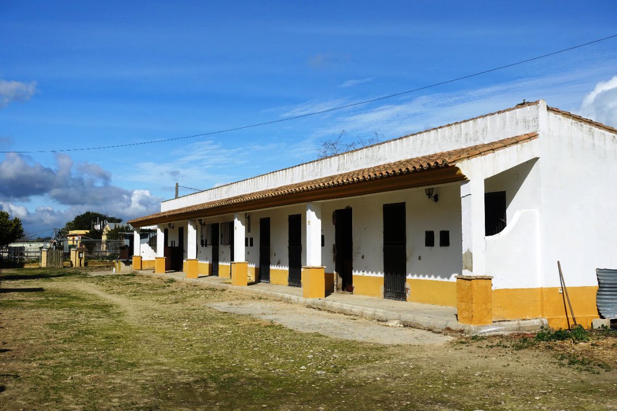 For sale of rural property in El Puerto de Santa María