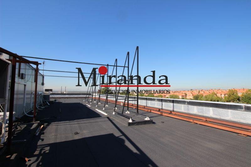 For rent of industrial plant/warehouse in Villaviciosa de Odón