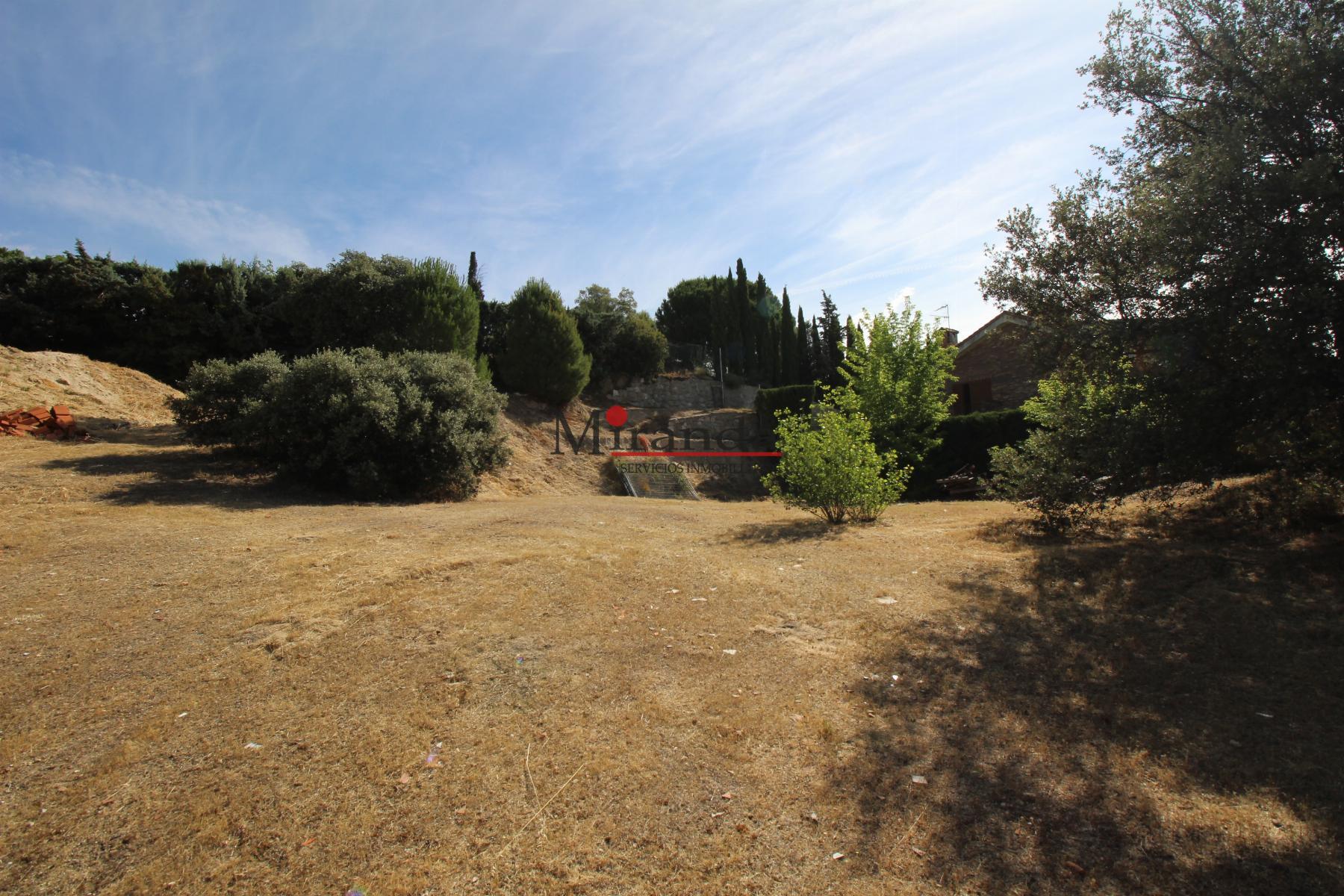 Ground