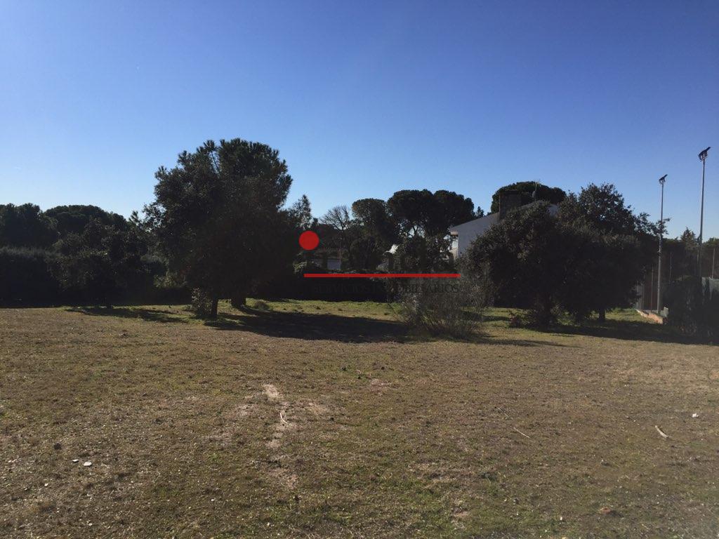 Venda de chão em Villaviciosa de Odón