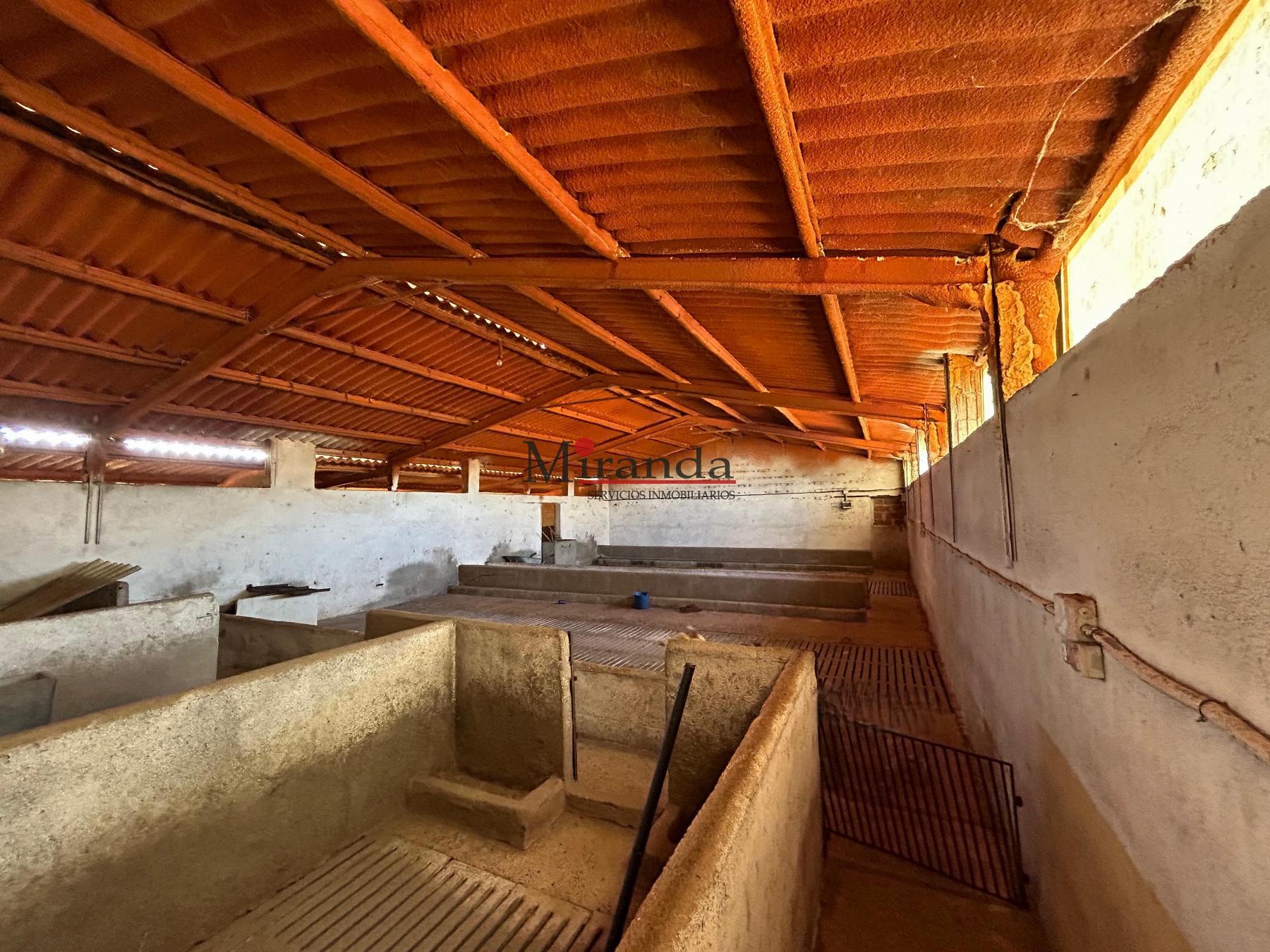 Venta de nave industrial en Polán