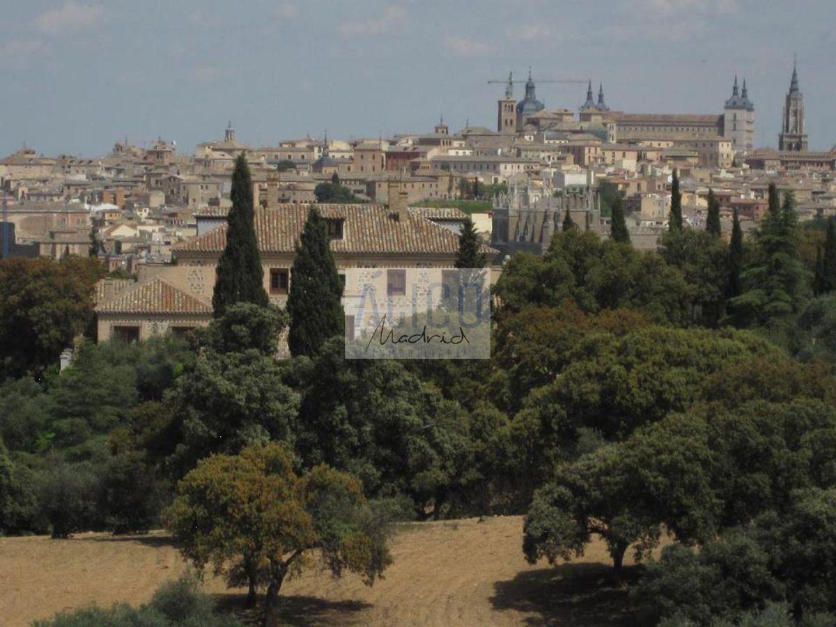 Venta de chalet en Toledo