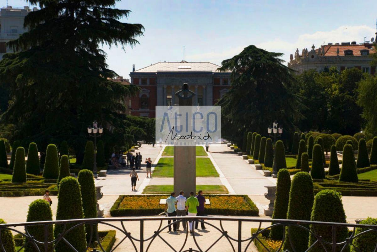 For rent of office in Madrid