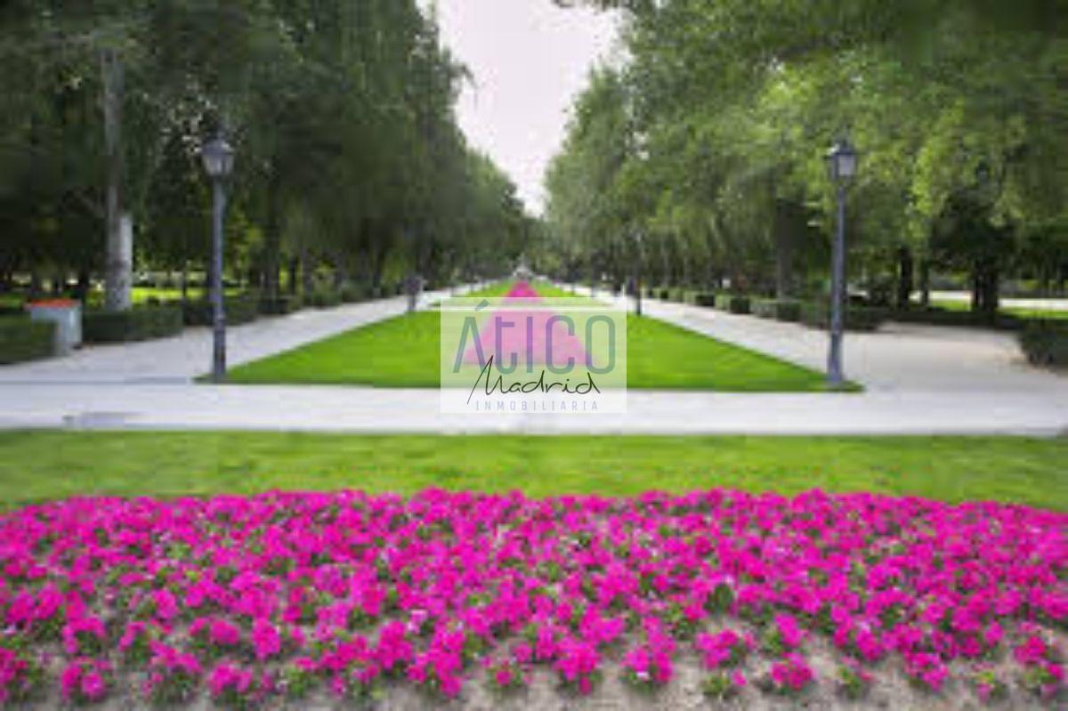 For rent of office in Madrid