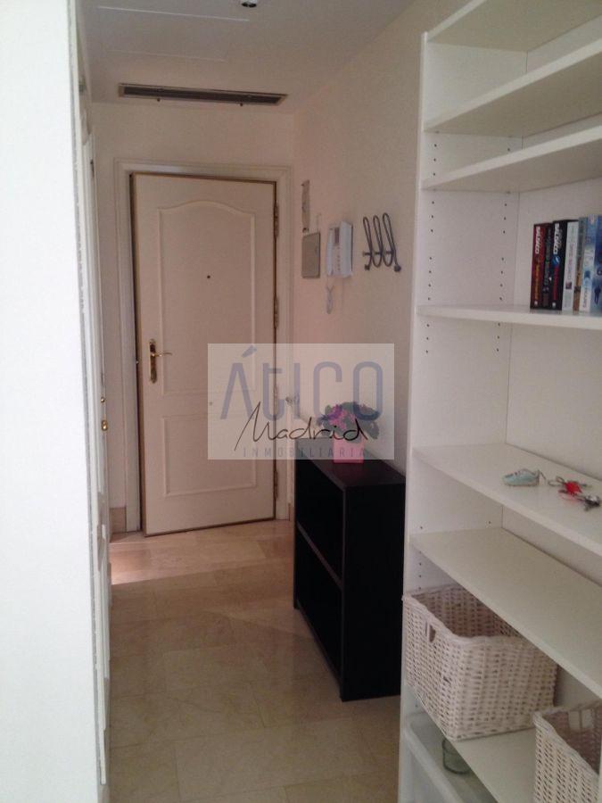 For rent of study in Madrid