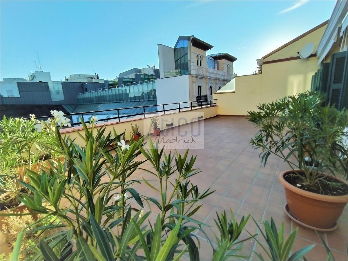 For rent of penthouse in Madrid