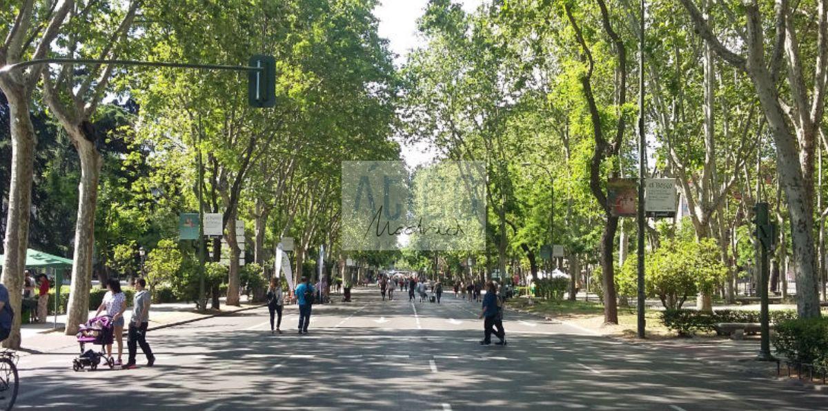 Alquiler de piso en Madrid