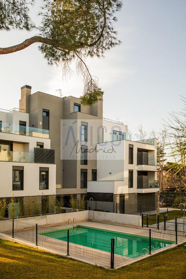 For rent of flat in Madrid