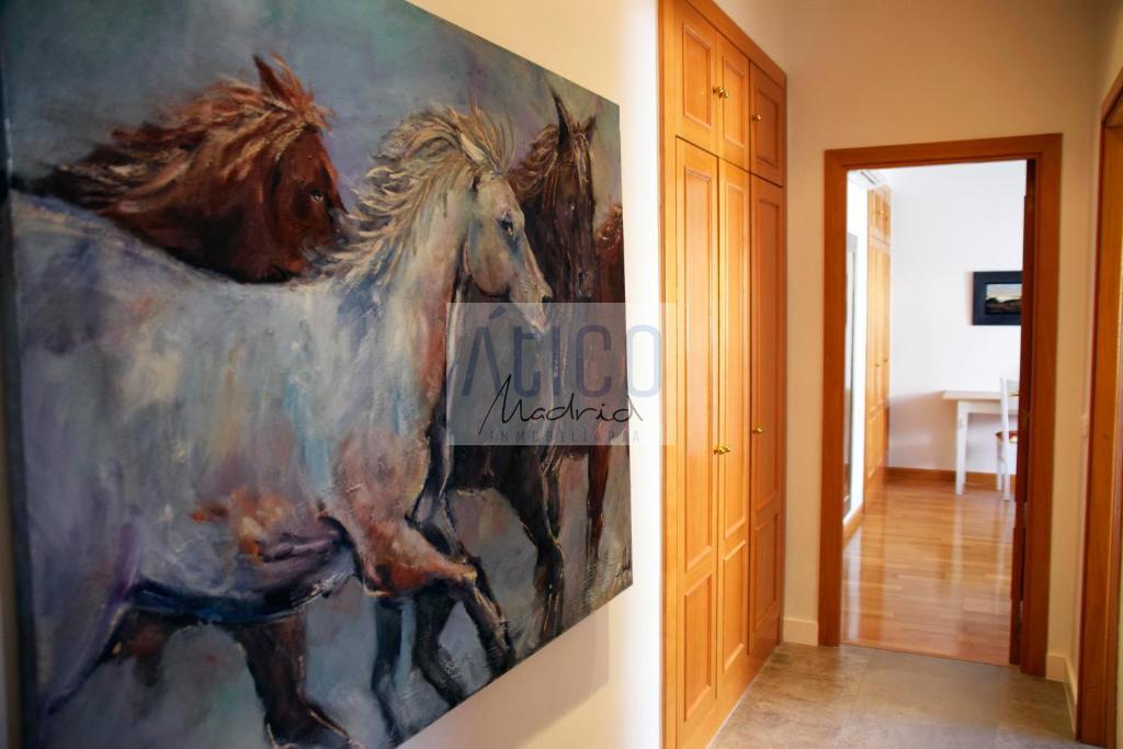 For rent of penthouse in Madrid