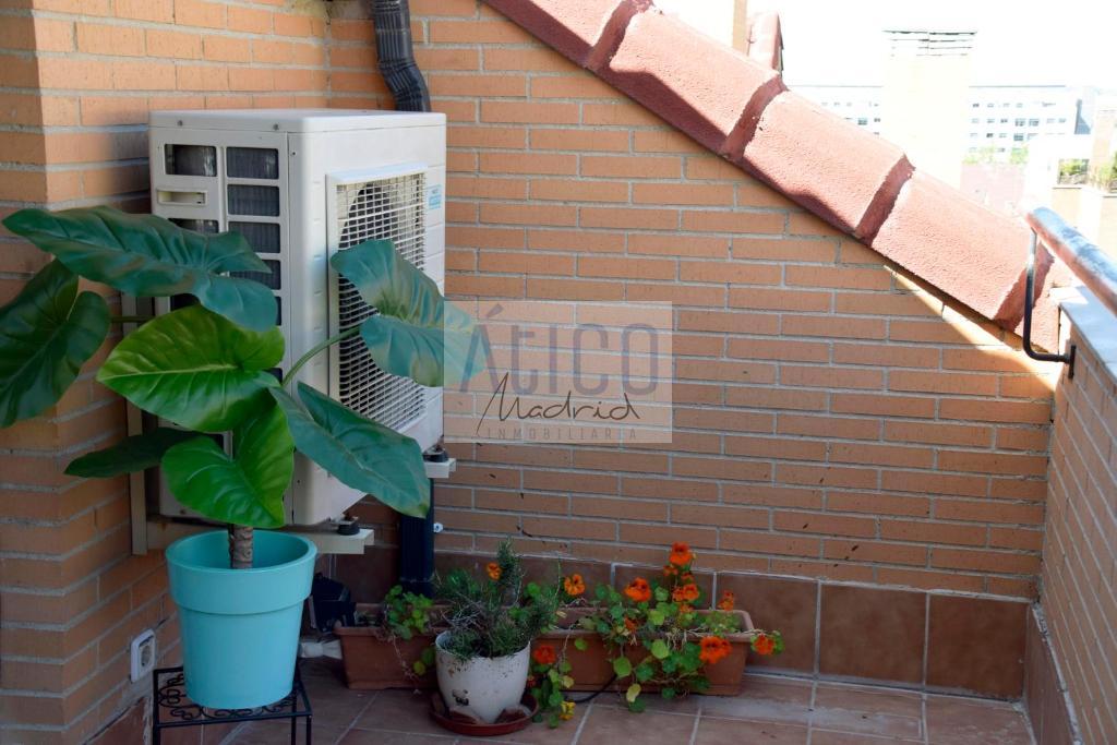 For rent of penthouse in Madrid