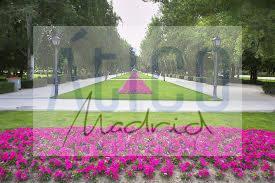 Surroundings