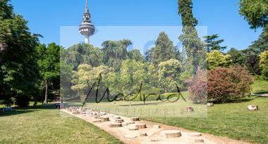 Alquiler de piso en Madrid