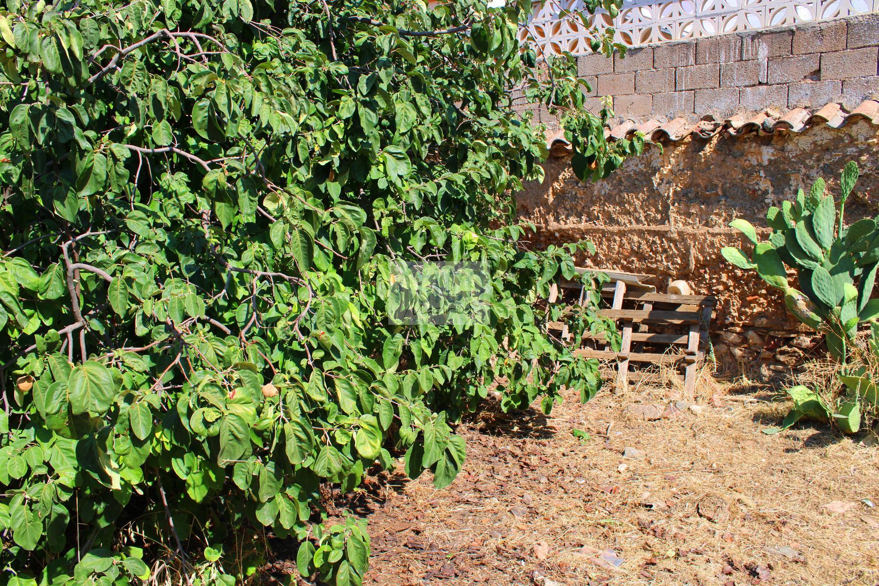 Venta de terreno en Cózar
