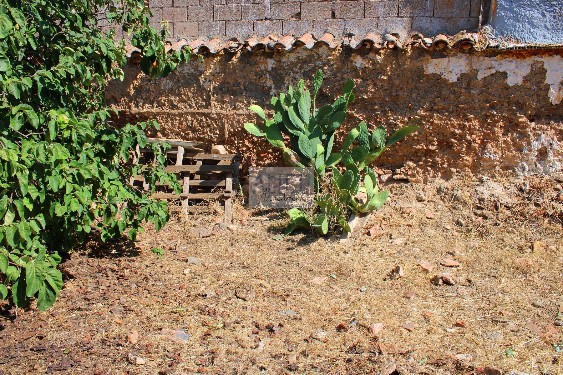 Venta de terreno en Cózar