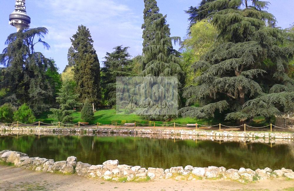 Alrededores