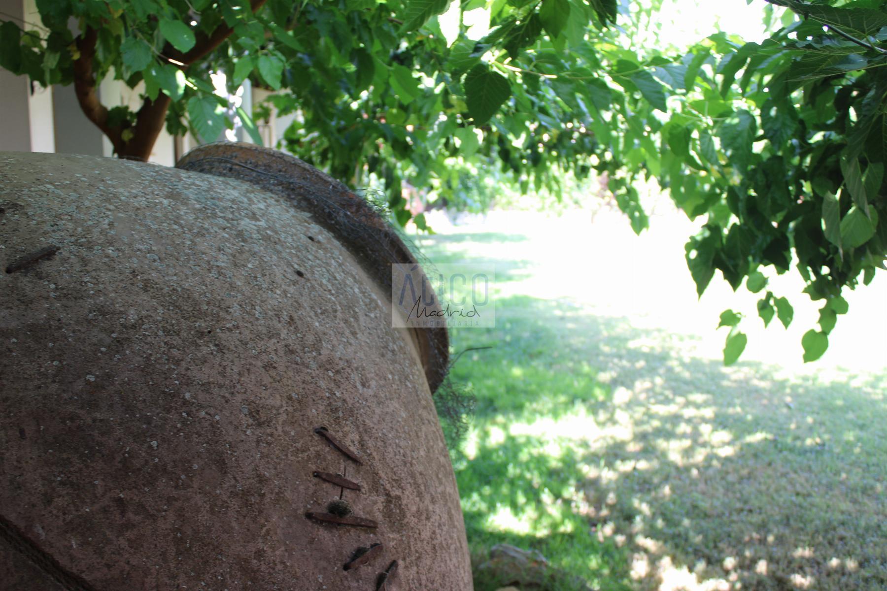 Venta de casa en Cózar