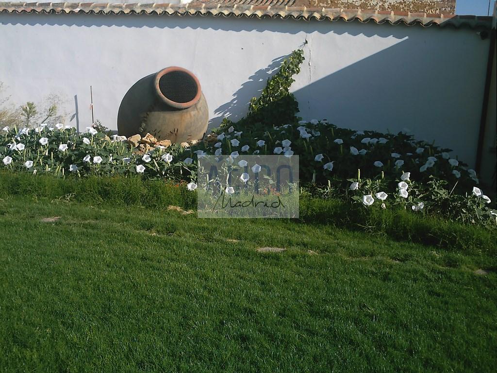 Venta de casa en Cózar