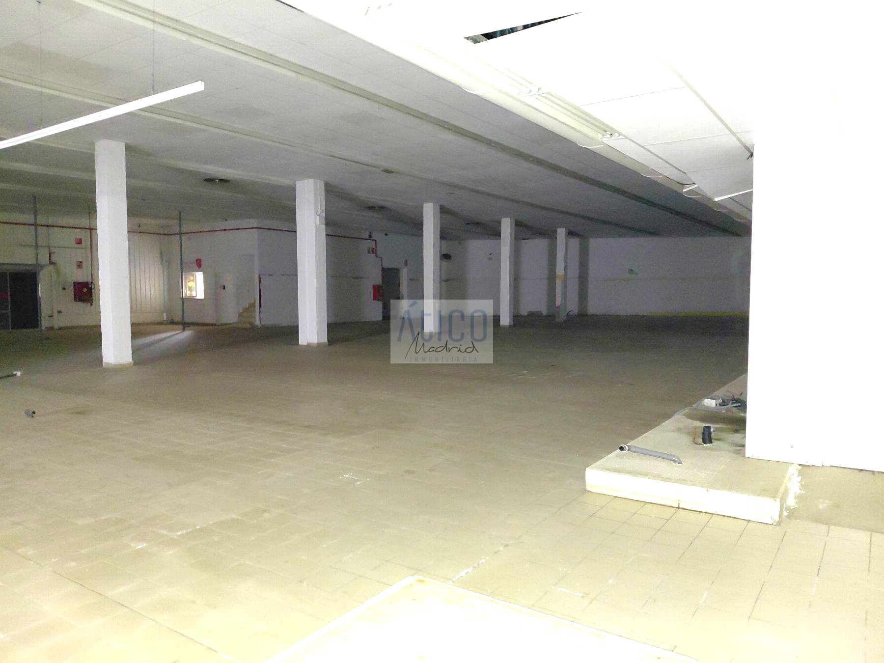 Nave