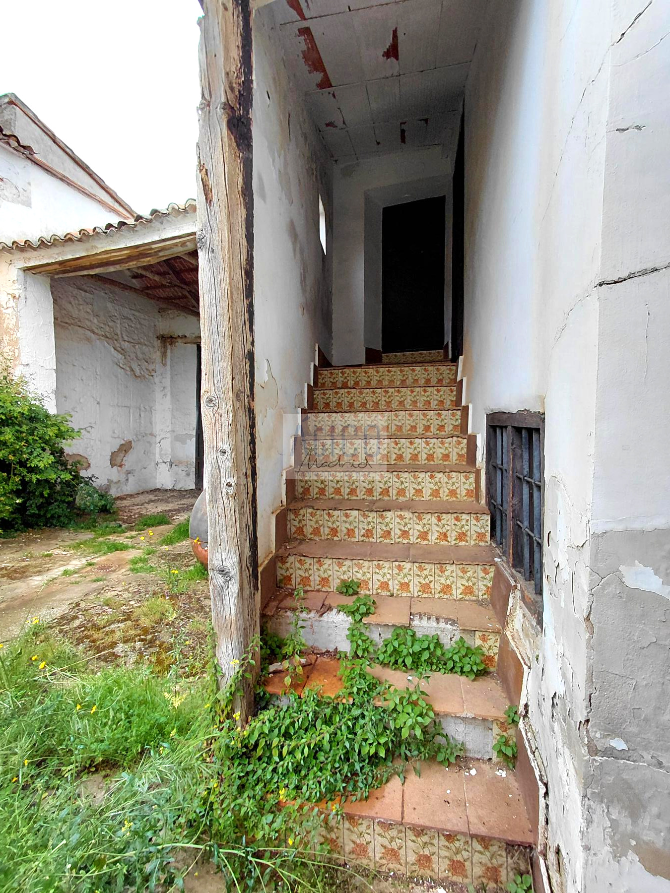 Escalera