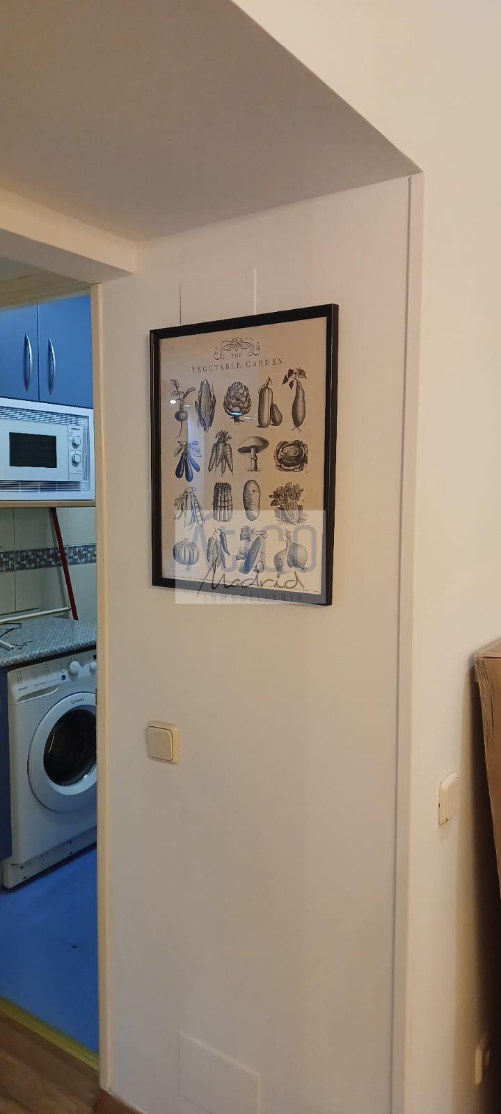 Alquiler de apartamento en Madrid