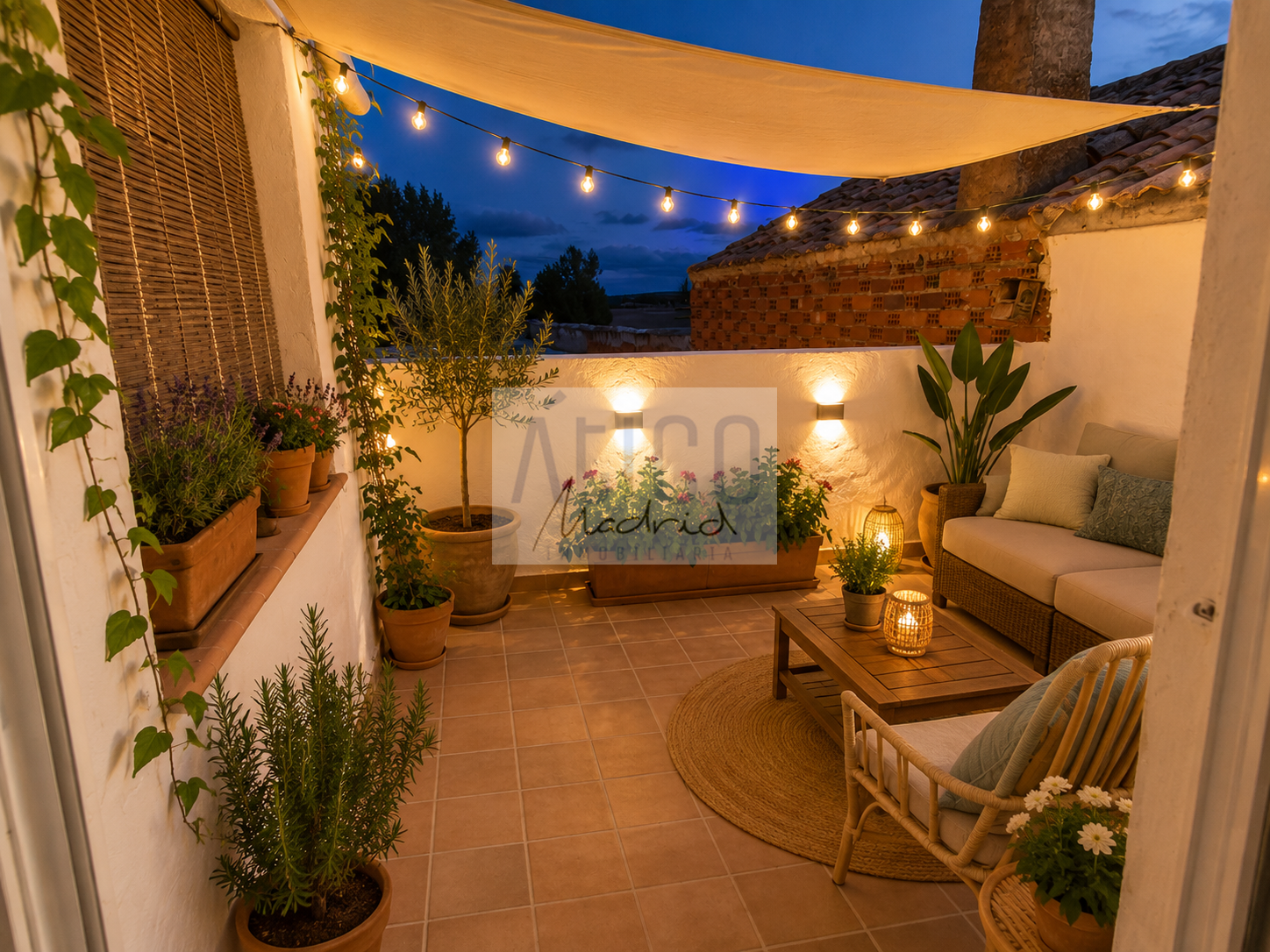 Terraza