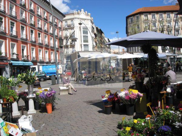 For rent of flat in Madrid