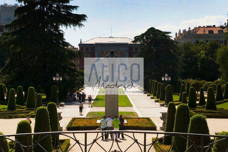 For rent of flat in Madrid