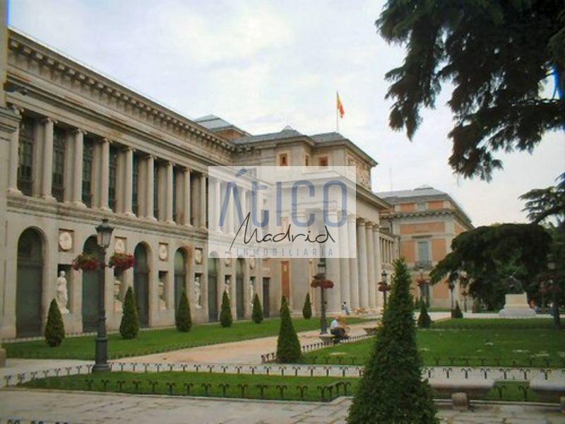 For rent of flat in Madrid