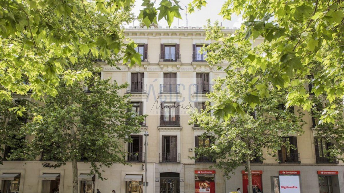 For rent of flat in Madrid