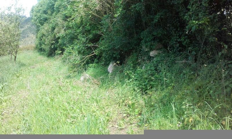 Venta de terreno en Siero