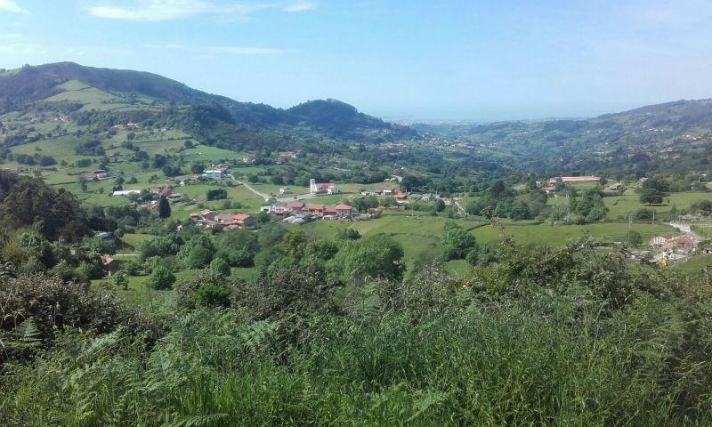 For sale of land in Siero