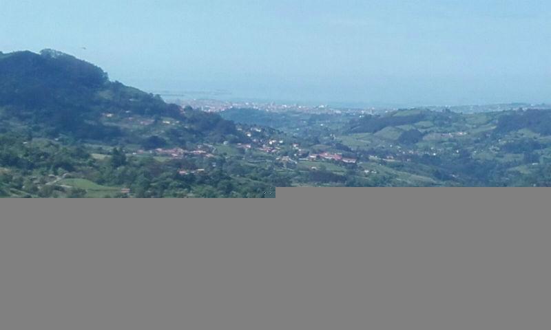 For sale of land in Siero