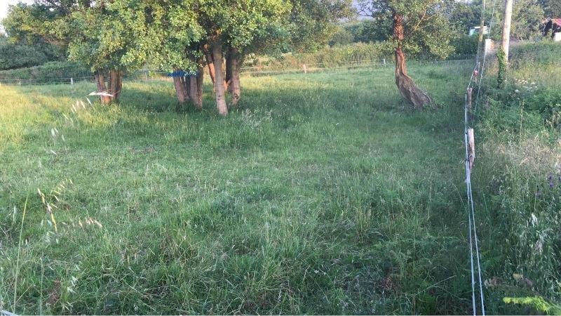 For sale of land in Cudillero Concejo