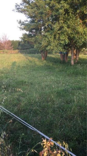 For sale of land in Cudillero Concejo